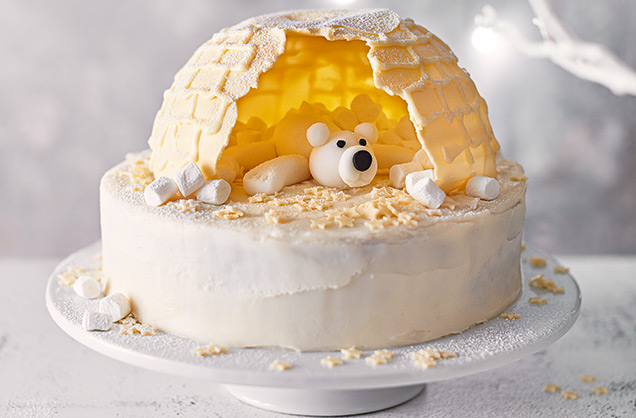 RFO 636x418 Igloo smash cake