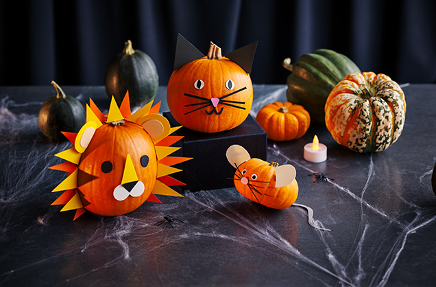Cute pumpkin animals