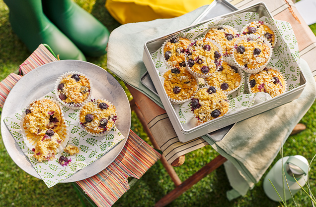 Blueberry bircher muffins