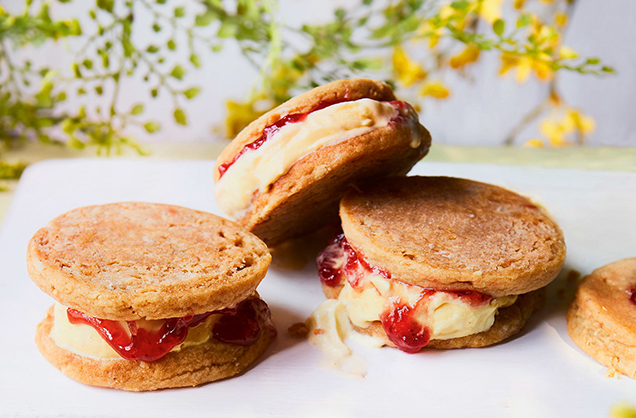 Peanut butter and jelly ice cream sandwiches recipe