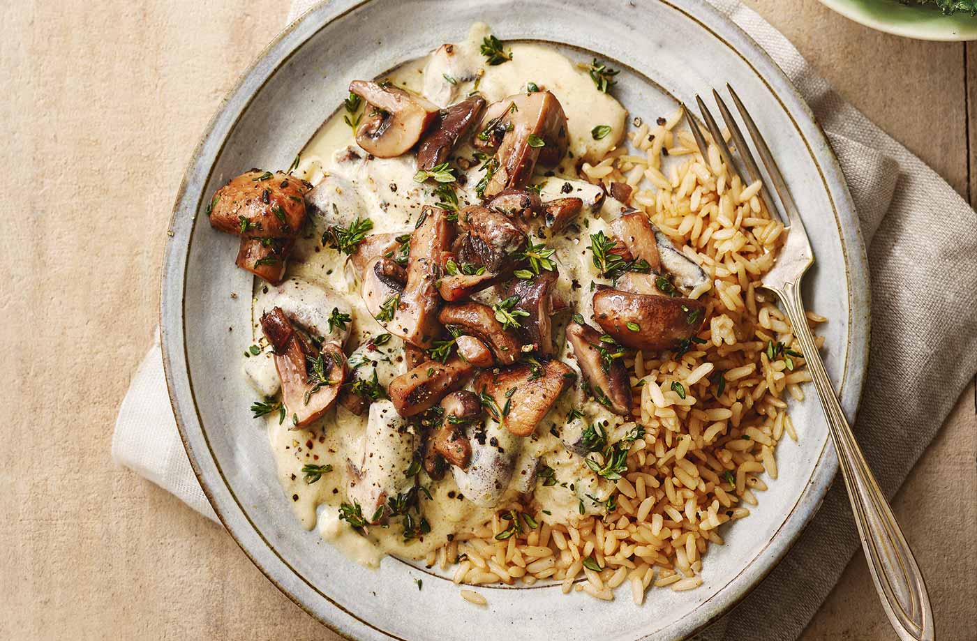 Mushroom stroganoff recipe