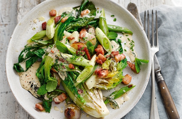 Romaine lettuce