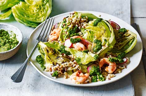 Iceberg lettuce tastes delicious served in vibrant, textural salads like this. Tumbled with nutty grains, tender king prawns and peppery radishes, and drizzled with a fiery, herby sauce, it can be enjoyed as a lunch or main