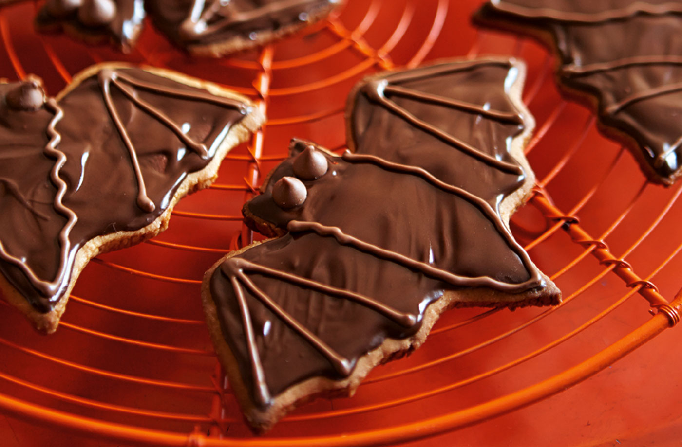 Chocolate ginger bat biscuits recipe
