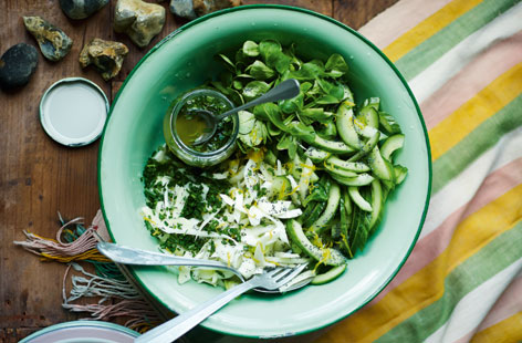 A refreshing and zesty mix, deserving pride of place on the salad buffet bar at a barbecue: Thinly sliced fennel and cucumber with finely chopped parsley and dressed with lemon, garlic and olive oil. A green, crunchy salad to accompany most grilled meats.