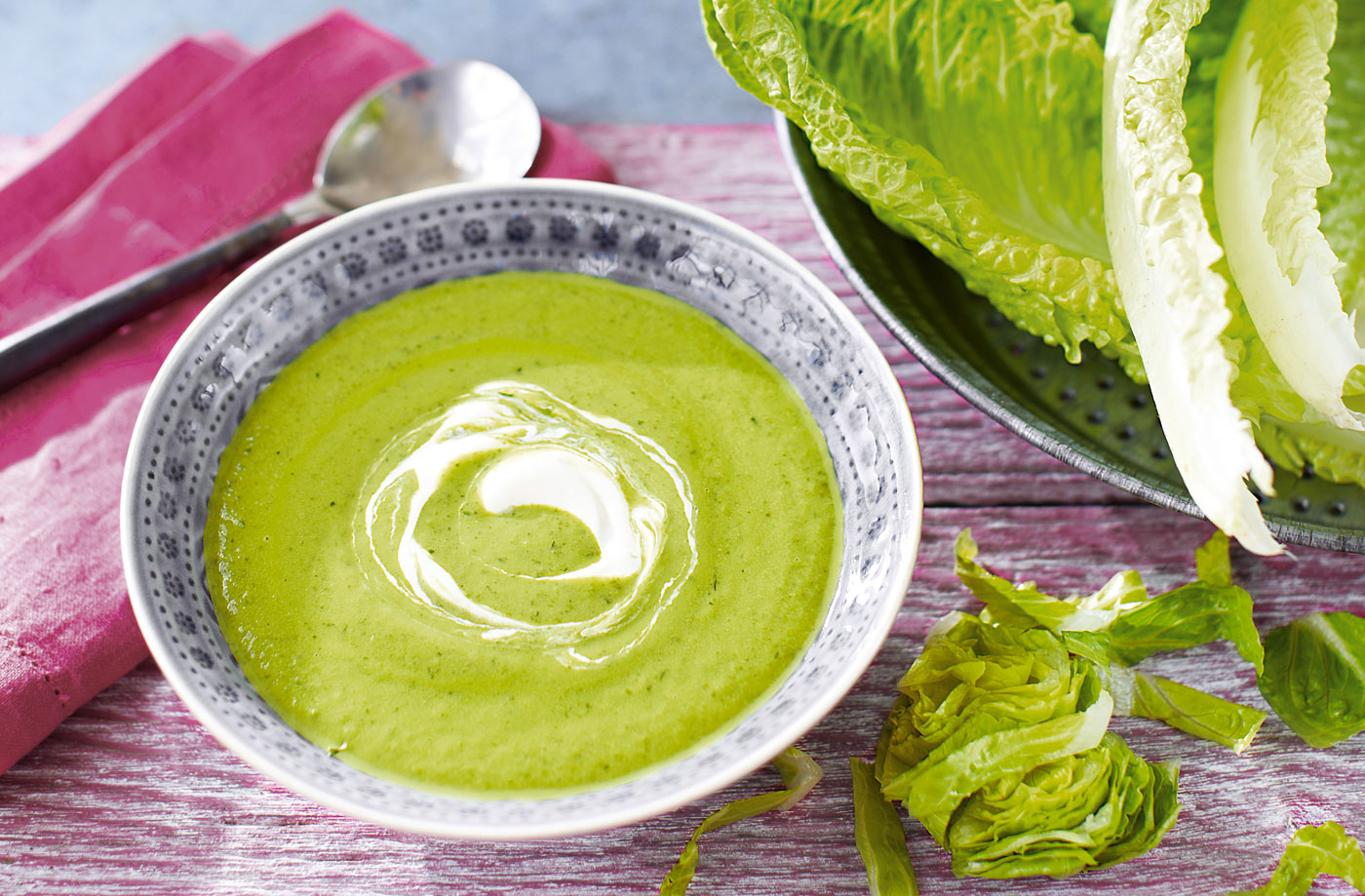 Avocado and lettuce soup recipe