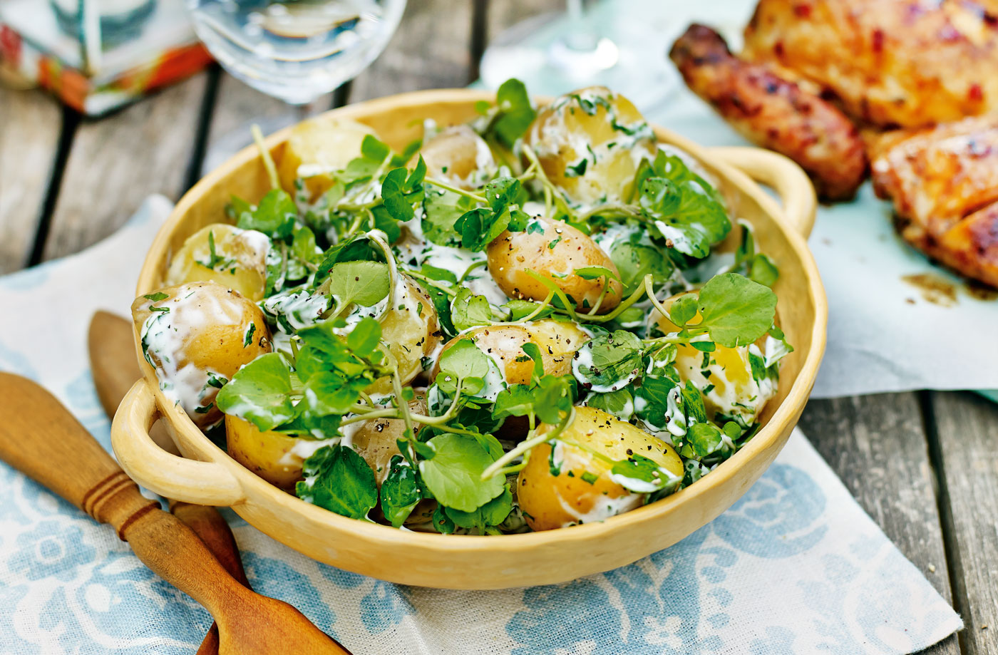 Potato salad with herb dressing recipe